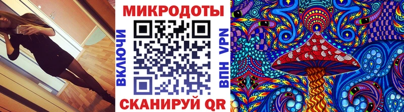 Галлюциногенные грибы Psilocybine cubensis где найти наркотики Красный Холм